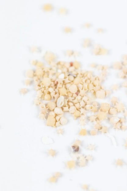 Japanese Star Sand