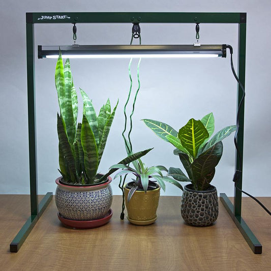 2-Foot Light System with One Lamp Jump Start