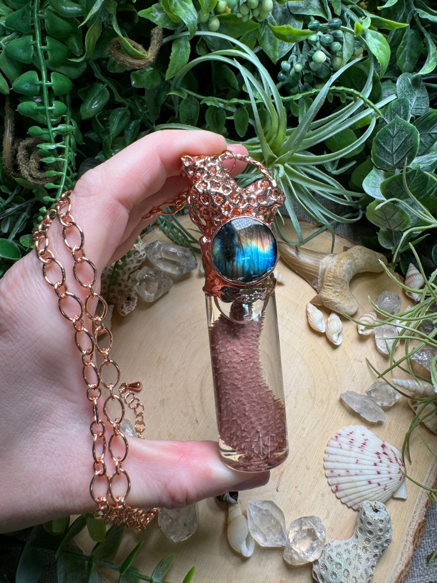 Labradorite, Coral, and Starfish Arm Oddity Vial Necklace