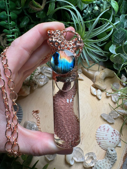 Labradorite, Coral, and Starfish Arm Oddity Vial Necklace