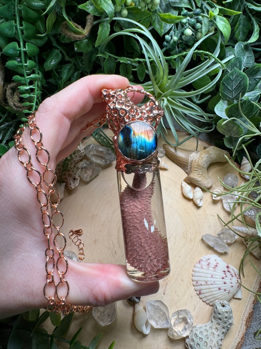 Labradorite, Coral, and Starfish Arm Oddity Vial Necklace