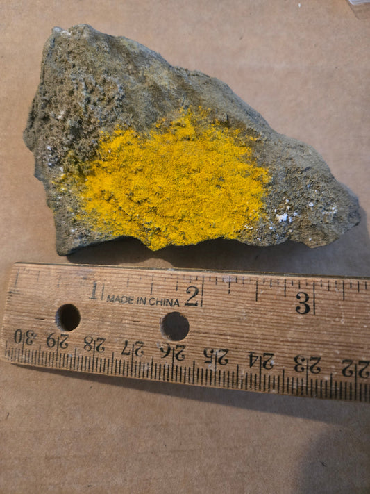 Lasalite Specimen