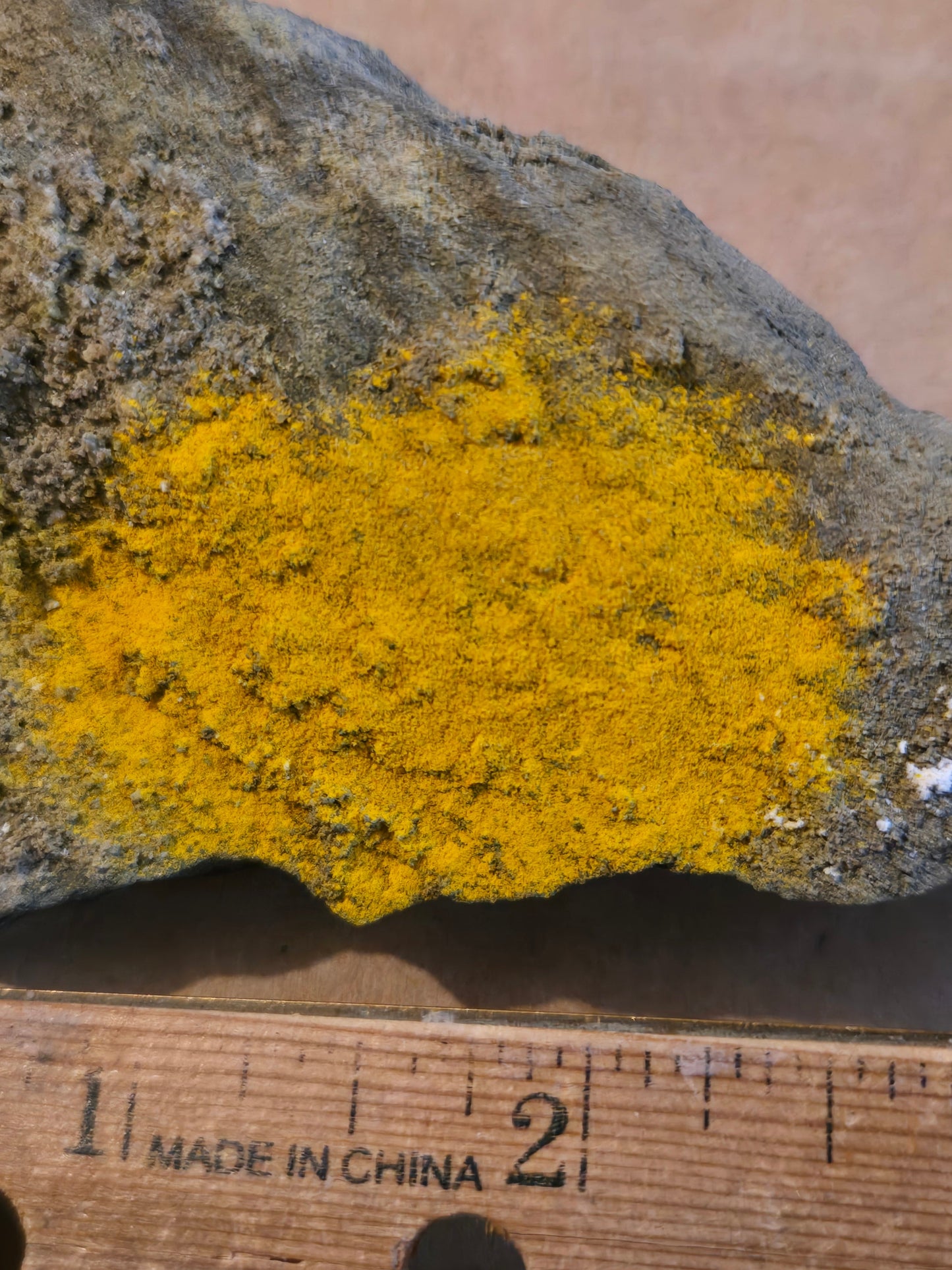 Lasalite Specimen