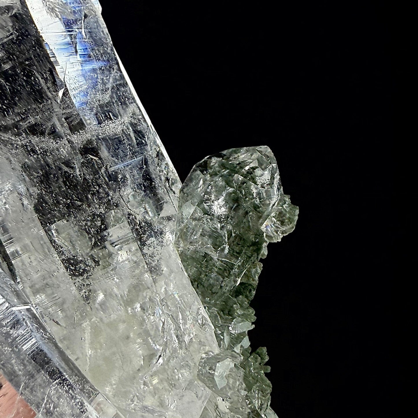 Lemurian Quartz on Chlorite Matrix | SELF STANDING | High Quality Mineral | Indian Mineral | Superb Minerals