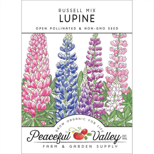 Lupine (russell) Seed Pack