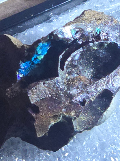 Mammothite Spangolite Connellite