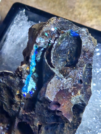 Mammothite Spangolite Connellite