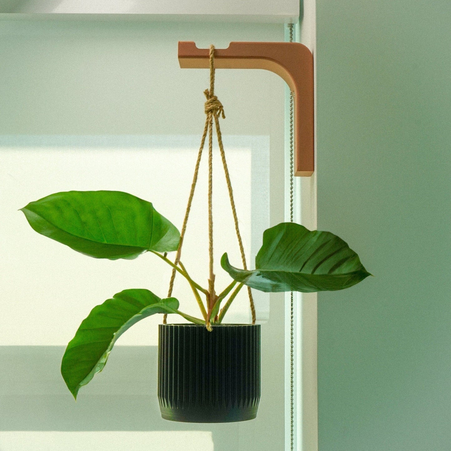 Minimal Modern Hanging Planter Wall Hook