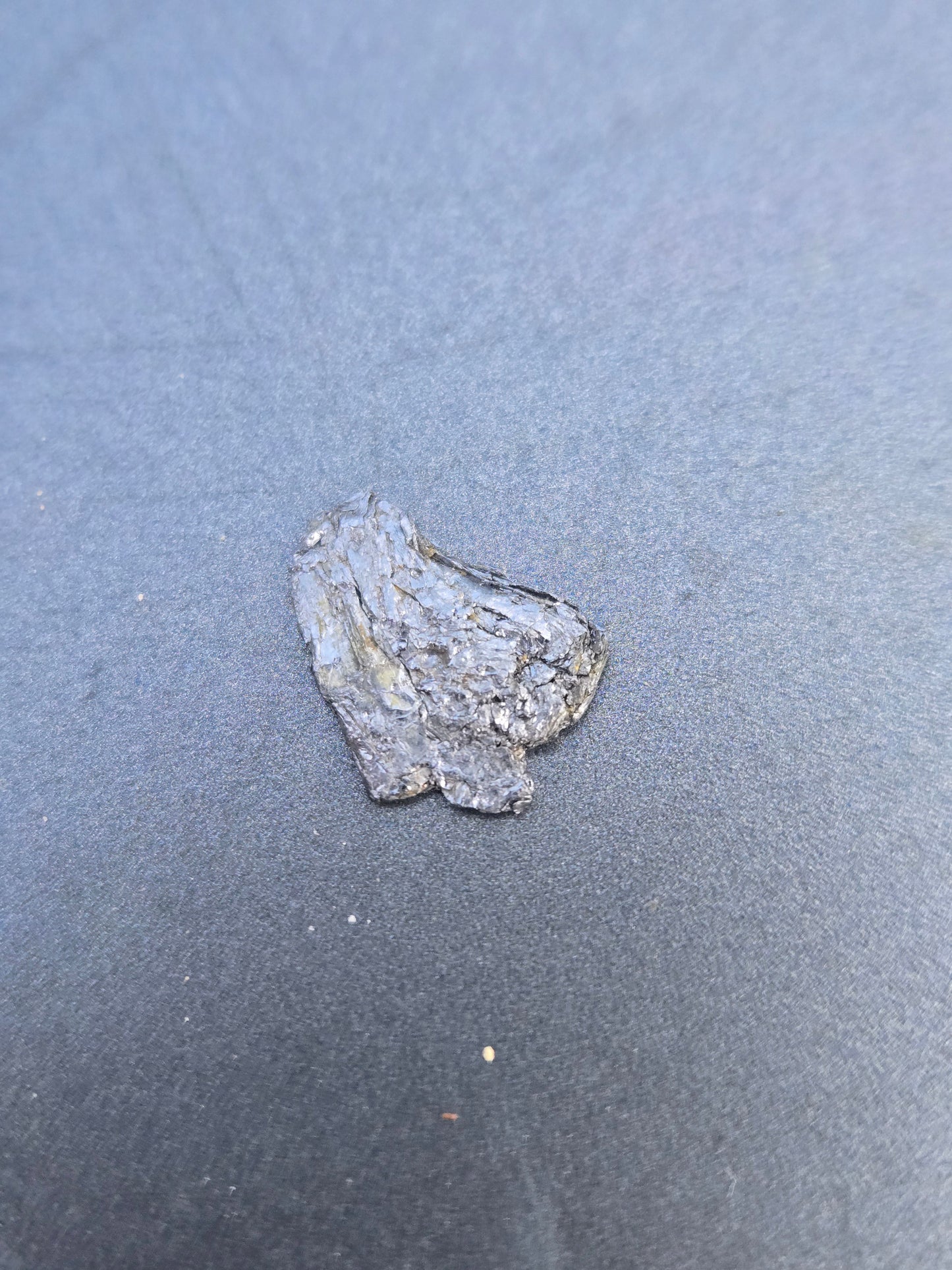 Molybdenite