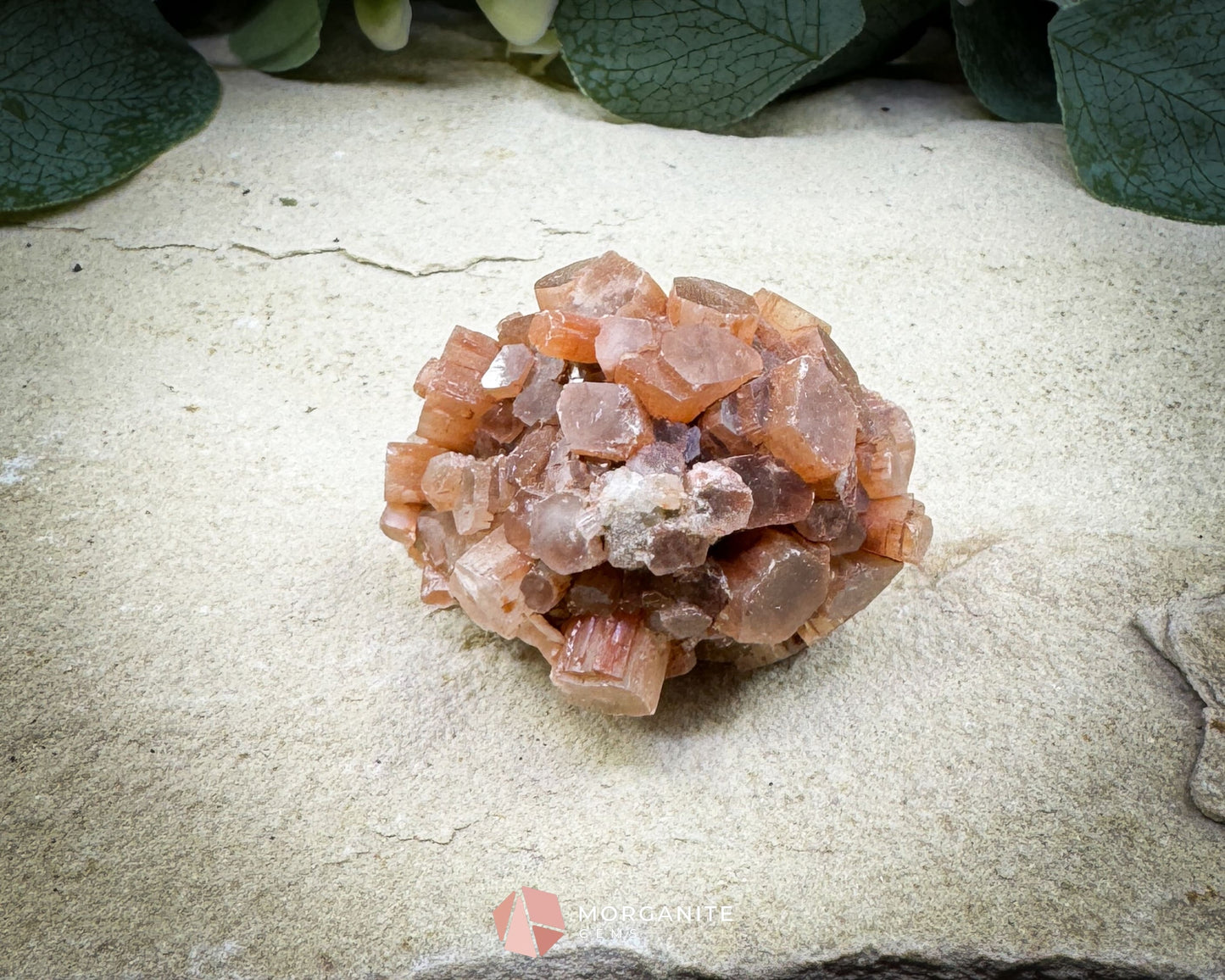 Moroccan Aragonite Star Specimen – 82 g Brighter Star Cluster