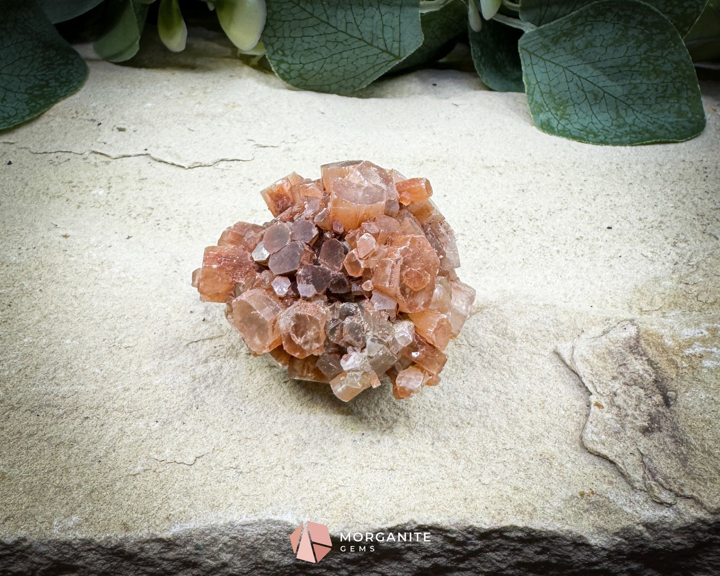 Moroccan Aragonite Star Specimen – 82 g Brighter Star Cluster