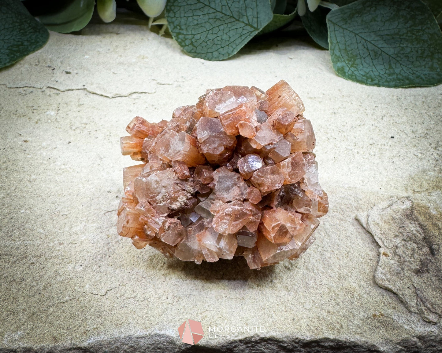 Moroccan Aragonite Star Specimen – 98 g Large Star Cluster