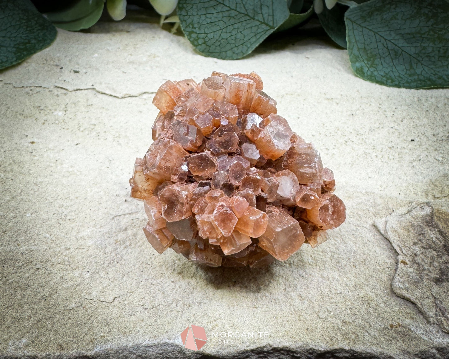 Moroccan Aragonite Star Specimen – 98 g Large Star Cluster
