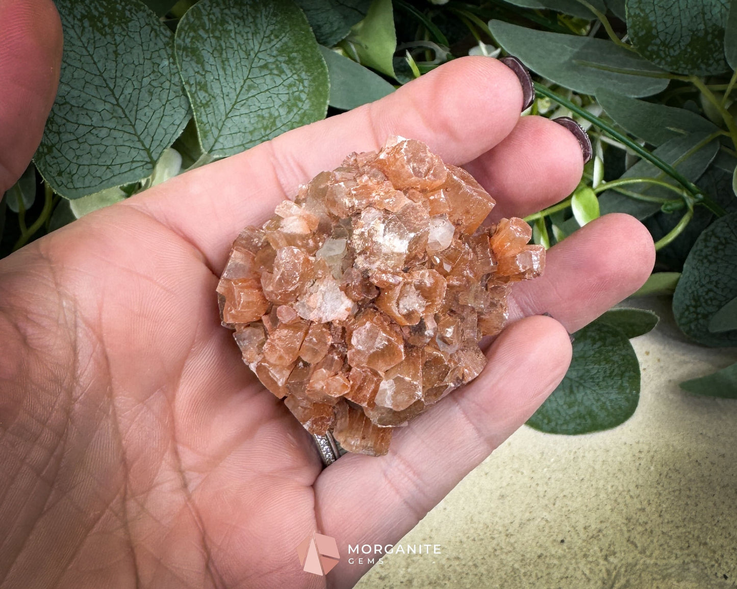 Moroccan Aragonite Star Specimen – 98 g Large Star Cluster