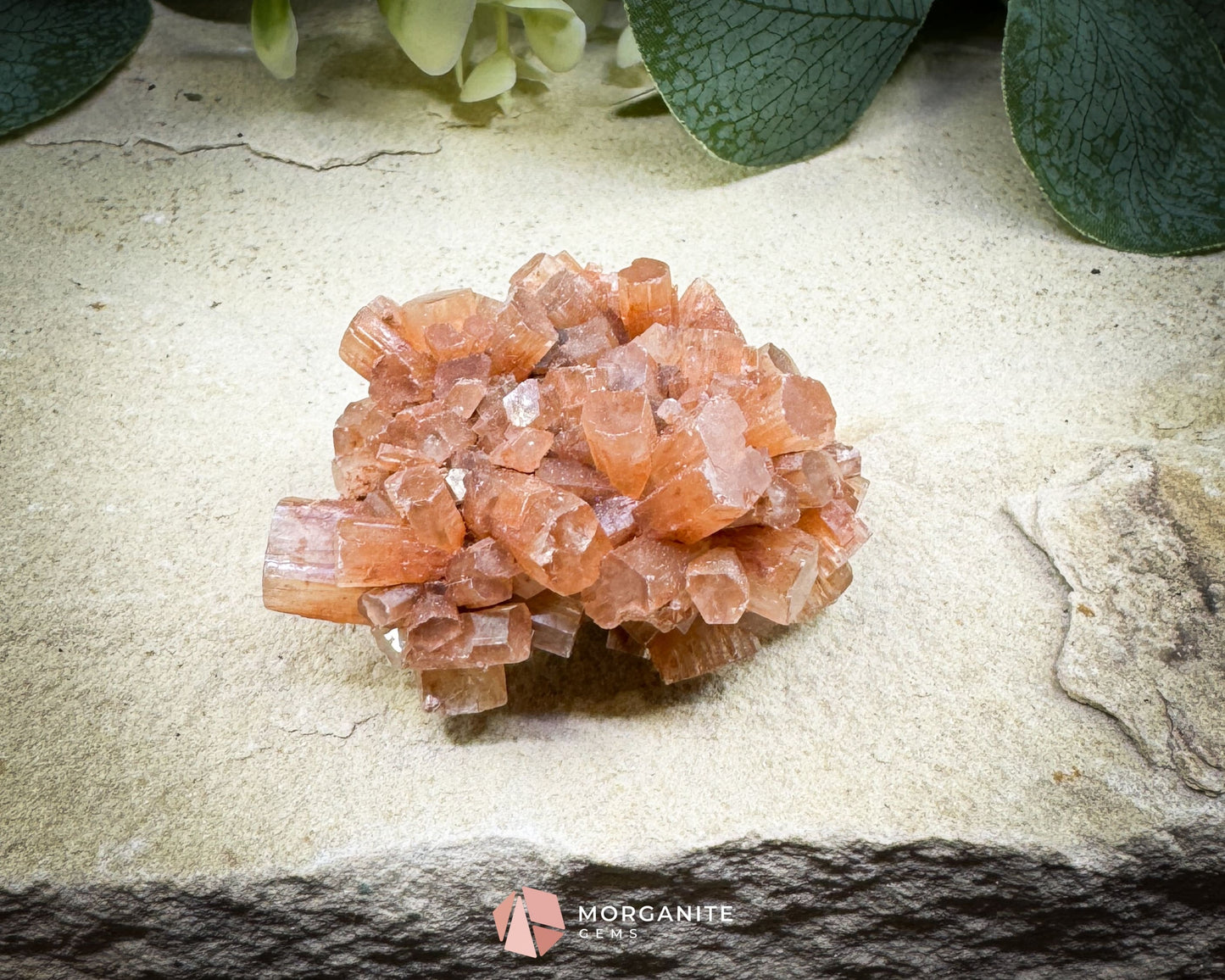 Moroccan Aragonite Starburst Specimen – 68 g Radiant Cluster (2″ × 1.8″ × 1″)