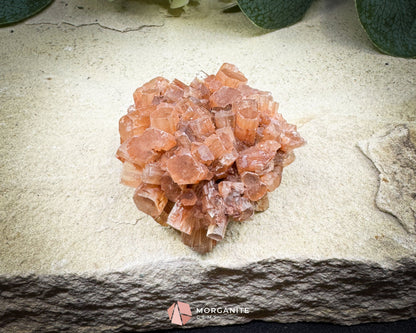 Moroccan Aragonite Starburst Specimen – 68 g Radiant Cluster (2″ × 1.8″ × 1″)