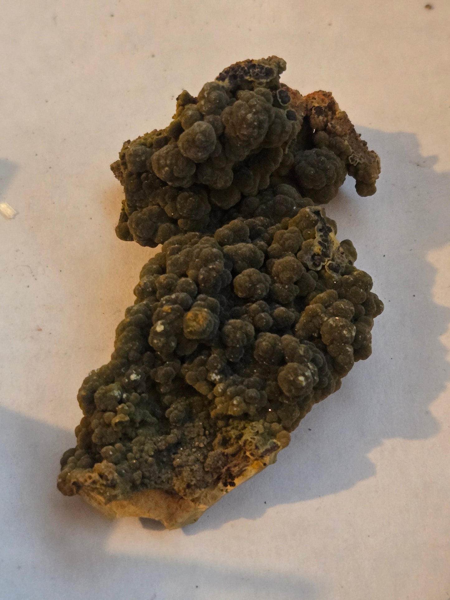 Mottramite