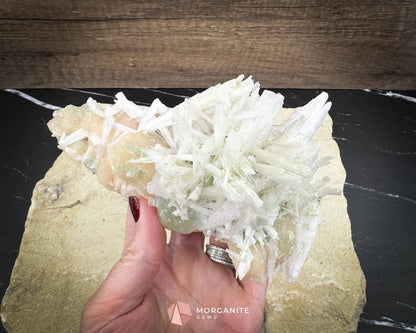 Natural Scolecite Spray on Orange Stilbite – Zeolite Crystal Cluster for Healing, Meditation & Decor