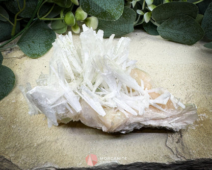 Natural Scolecite Spray on Orange Stilbite – Zeolite Crystal Cluster for Healing, Meditation & Decor