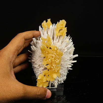 New Find Calcite Layer on Mordenite Natural Mineral Specimen # B 6787