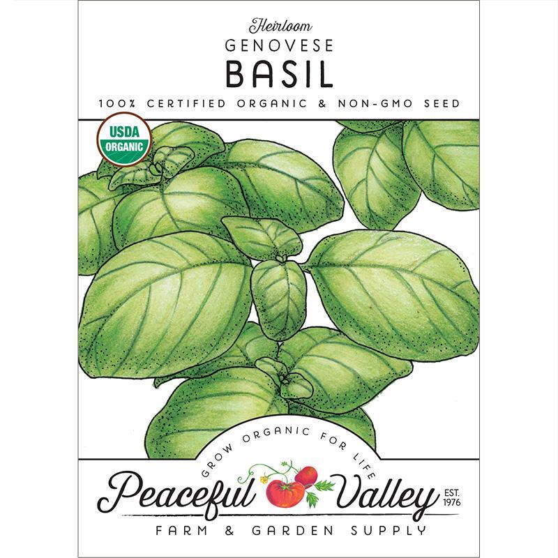 Basil Seeds, Genovese  (Organic)