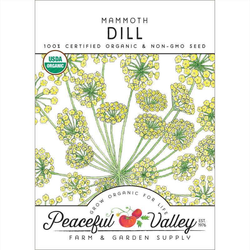 Dill Seeds (Organic) Mammoth
