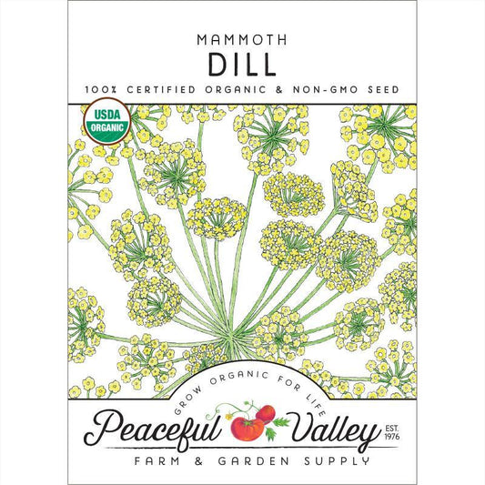 Dill Seeds (Organic) Mammoth