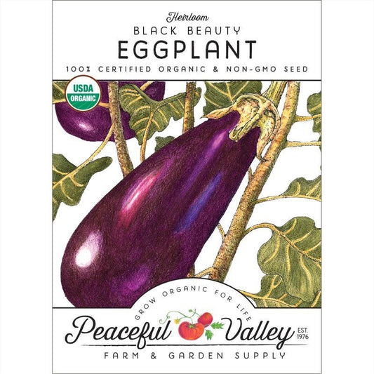Eggplant Seeds (Organic) Black Beauty Egg Plant