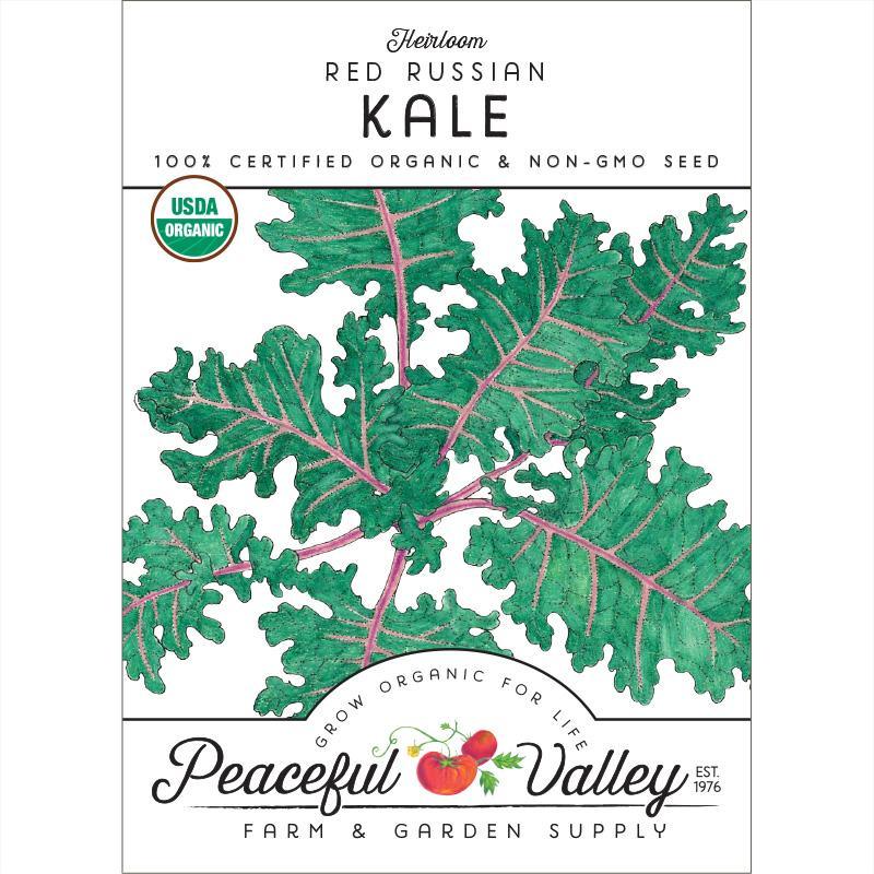 Kale Seeds, Red Russian  (Organic)
