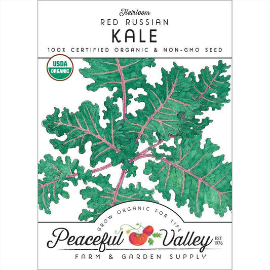 Kale Seeds, Red Russian  (Organic)