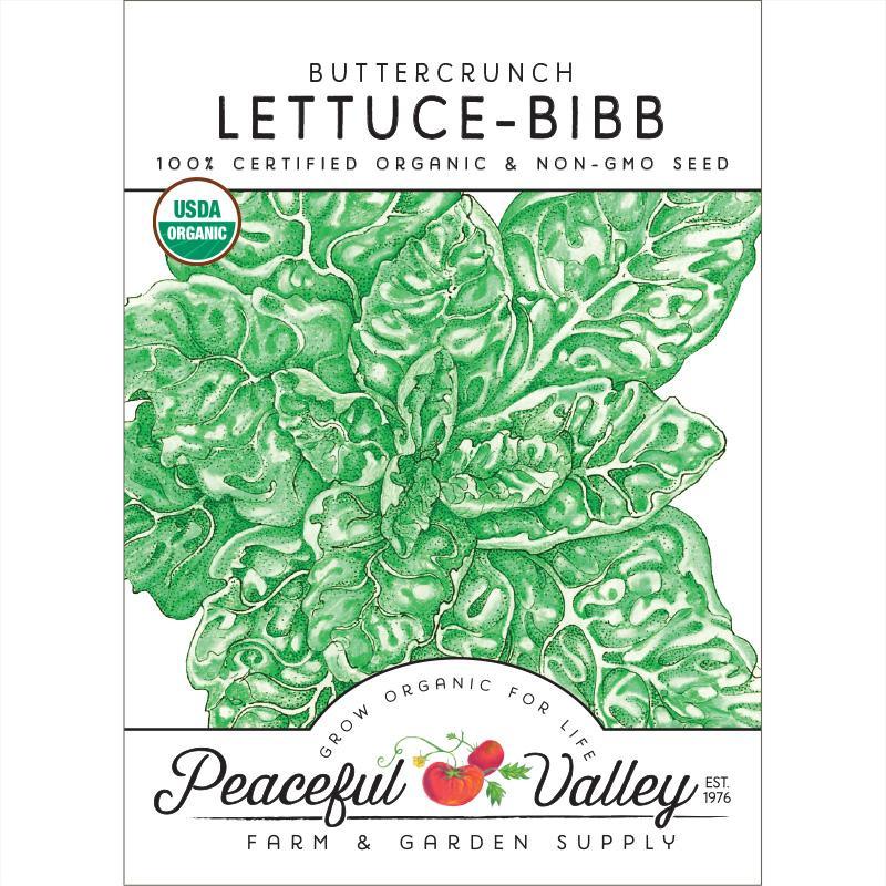 Lettuce Seeds, Buttercrunch (Organic)