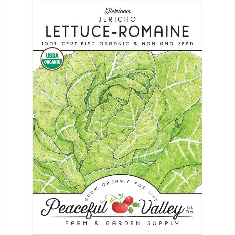 Lettuce Seeds, Romaine, Jericho  (Organic)