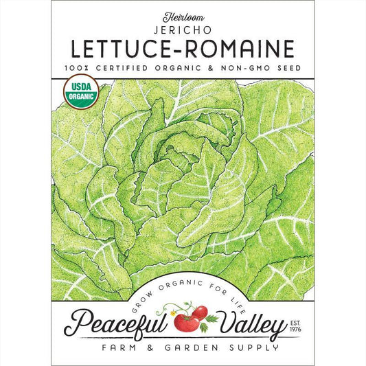 Lettuce Seeds, Romaine, Jericho  (Organic)