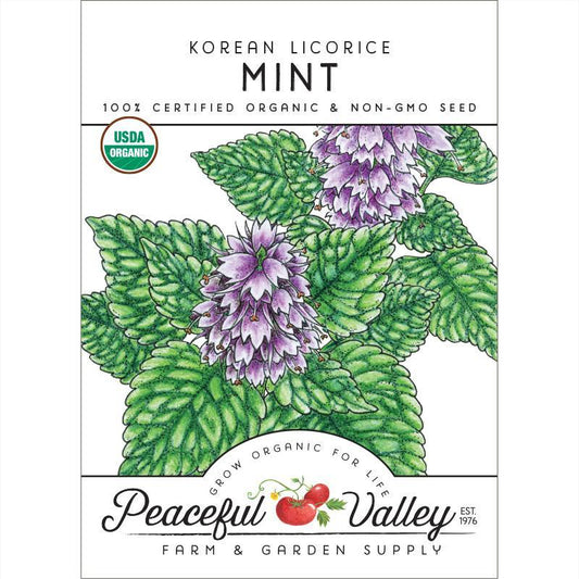Mint Seeds (Organic) Korean Licorice