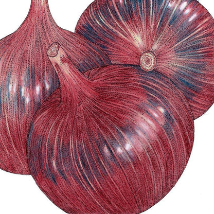 Onion Seeds (Organic) Cabernet