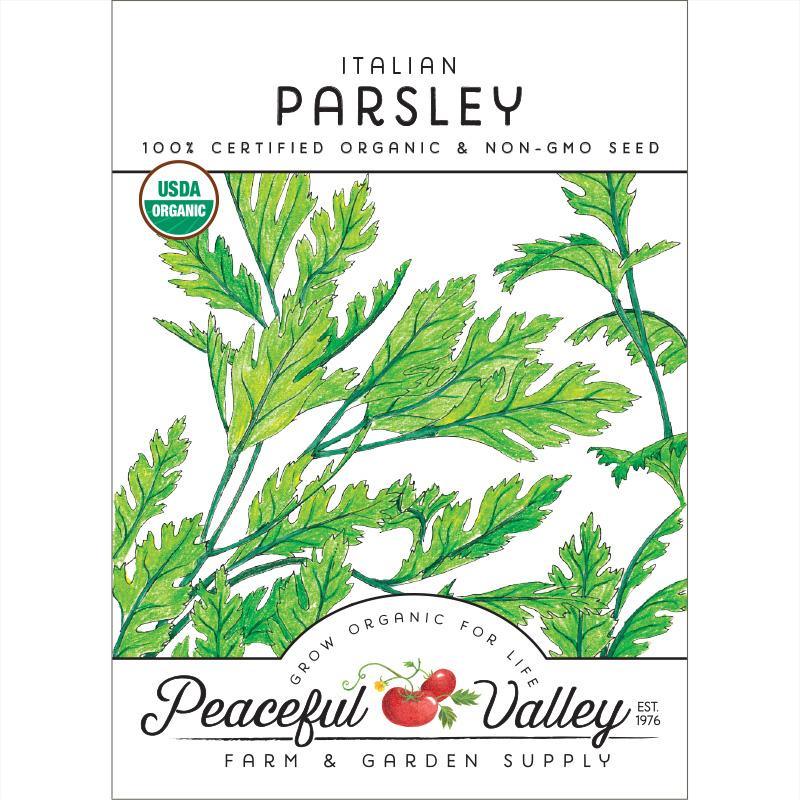 Parsley Seeds (Organic) Italian