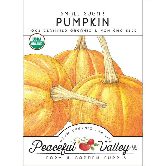Pumpkin Seeds, Small Sugar  (Organic)