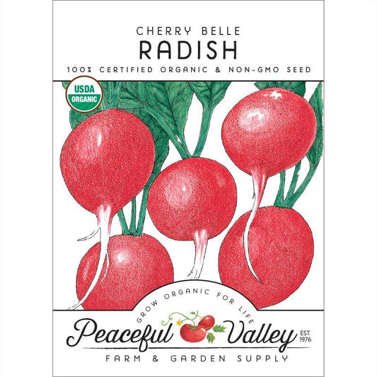 Radish Seeds, Cherry Belle  (Organic)