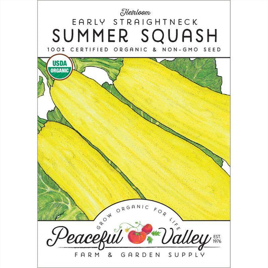 Summer Squash Seeds, Early Straightneck  (Organic)