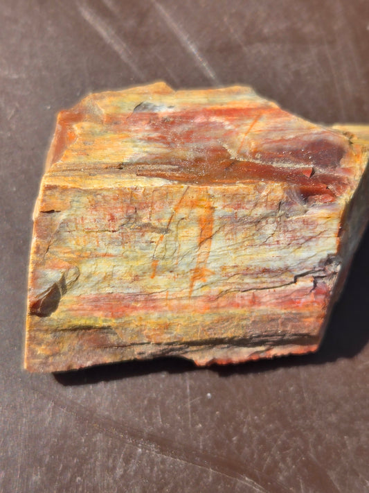 Petrified wood