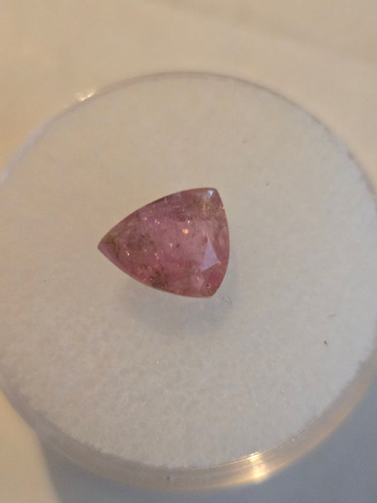 Pezzottaite facet
