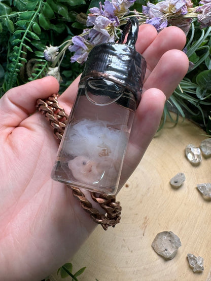 Pig Fetus Oddity Necklace