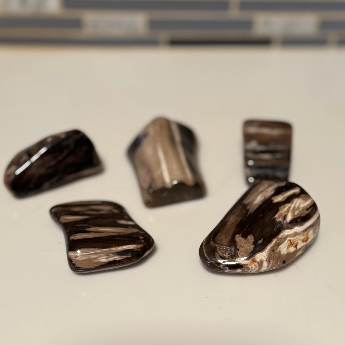 Polished Petrified Wood Display Piece – Natural Fossil Stone