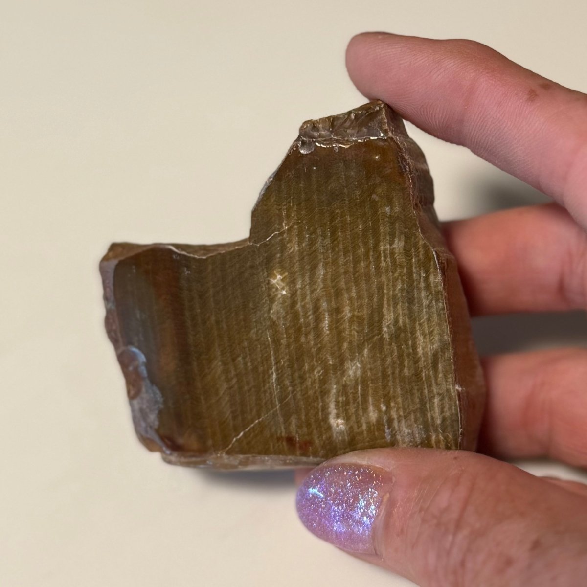 Polished Petrified Wood Display Piece – Natural Fossil Stone