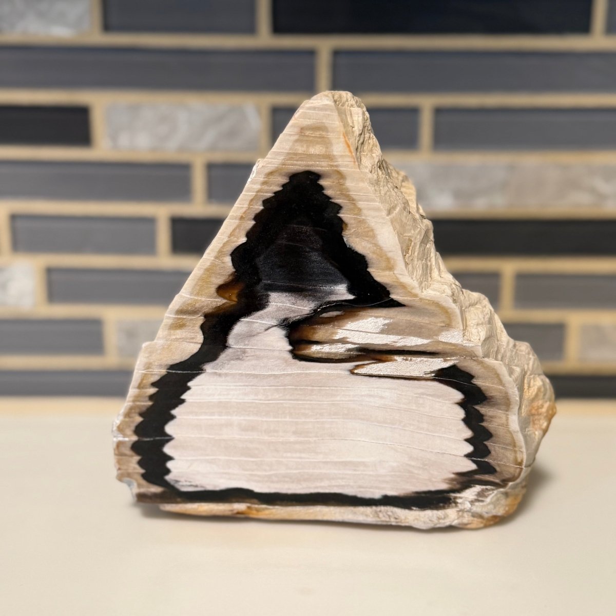 Polished Petrified Wood Display Piece – Natural Fossil Stone