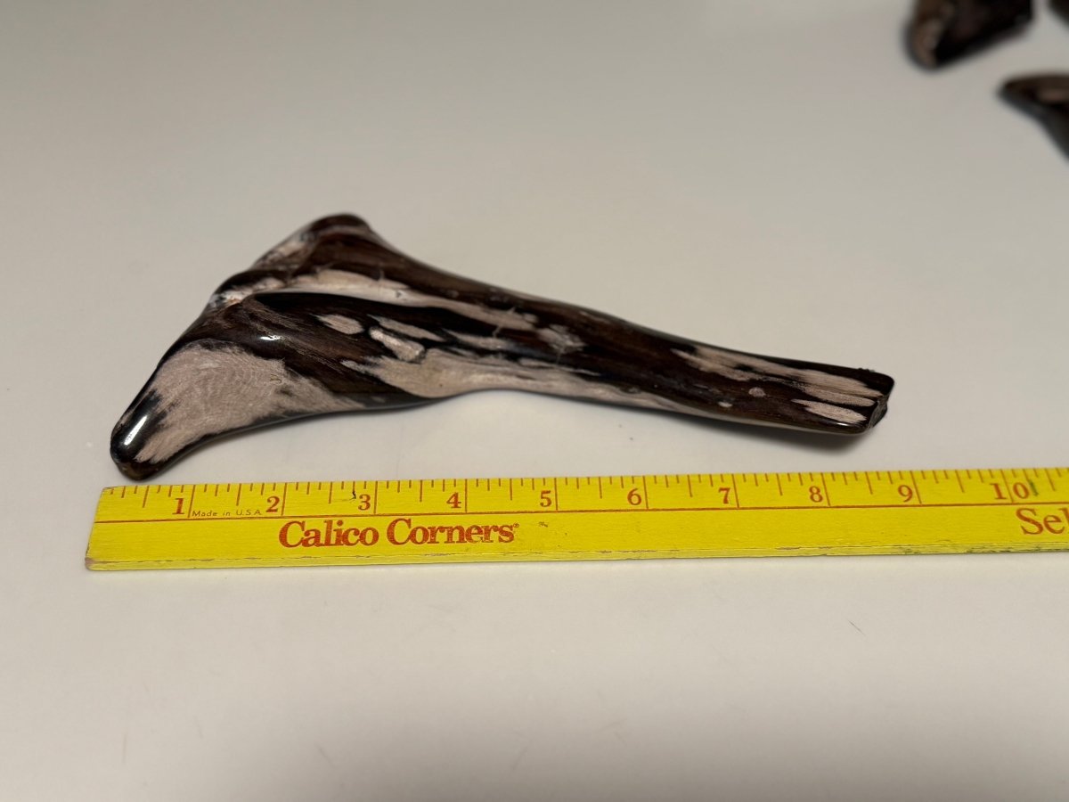 Polished Petrified Wood Display Piece – Natural Fossil Stone