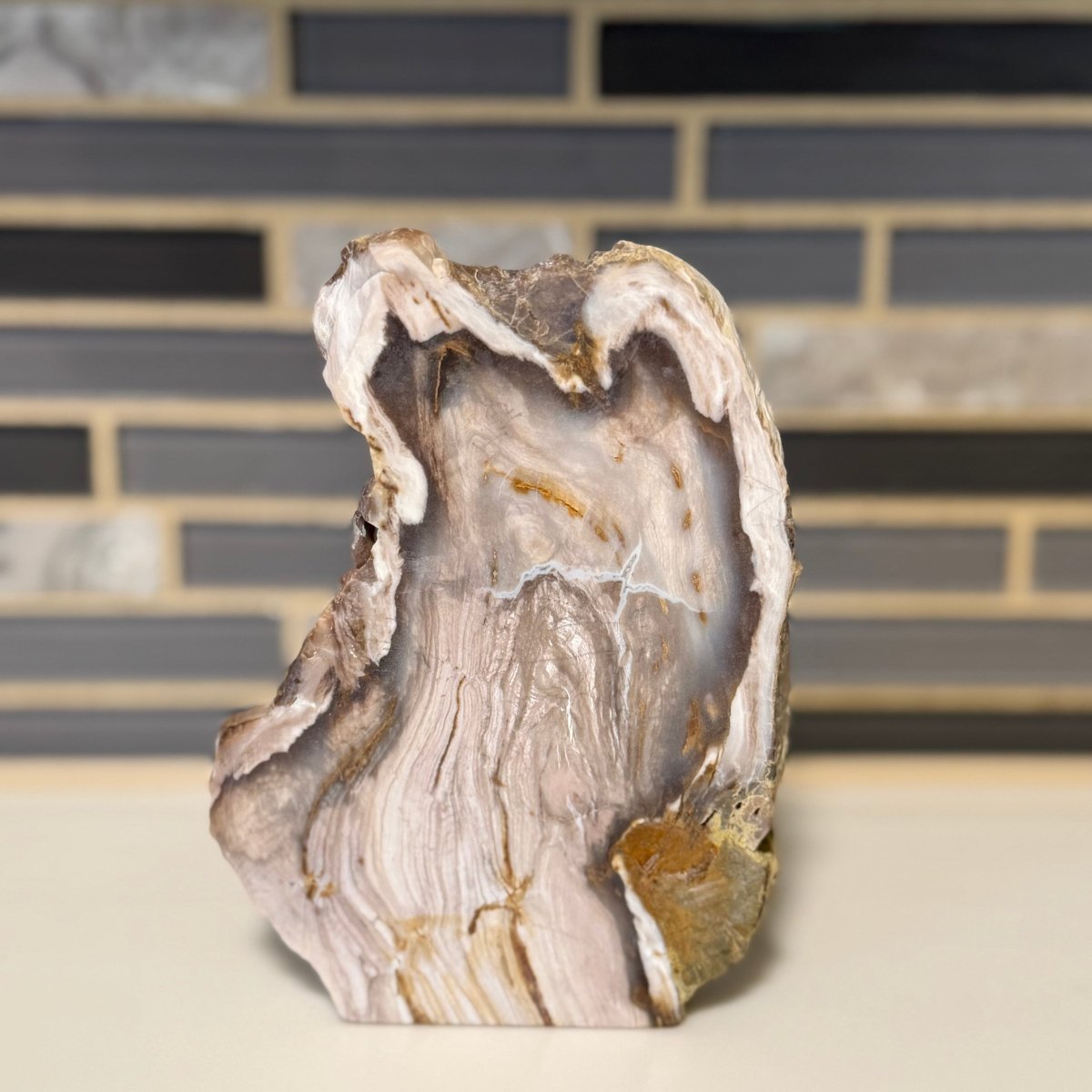 Polished Petrified Wood Display Piece – Natural Fossil Stone