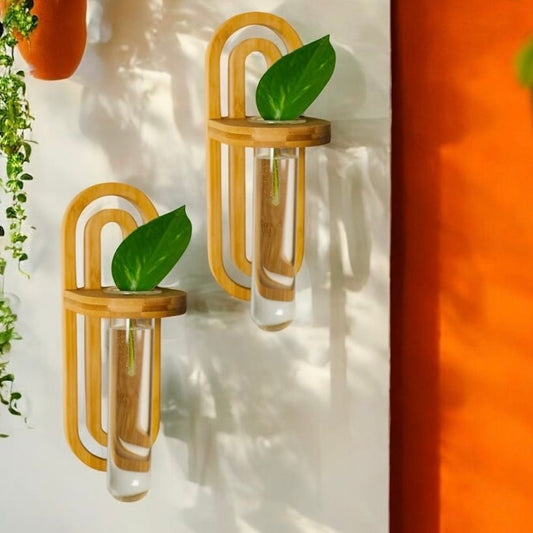 Propagation Wall Hanger