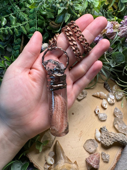 Quartz and Starfish Arm Oddity Vial Necklace