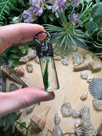 Quartz Diamond and Minnow Oddity Vial Necklace